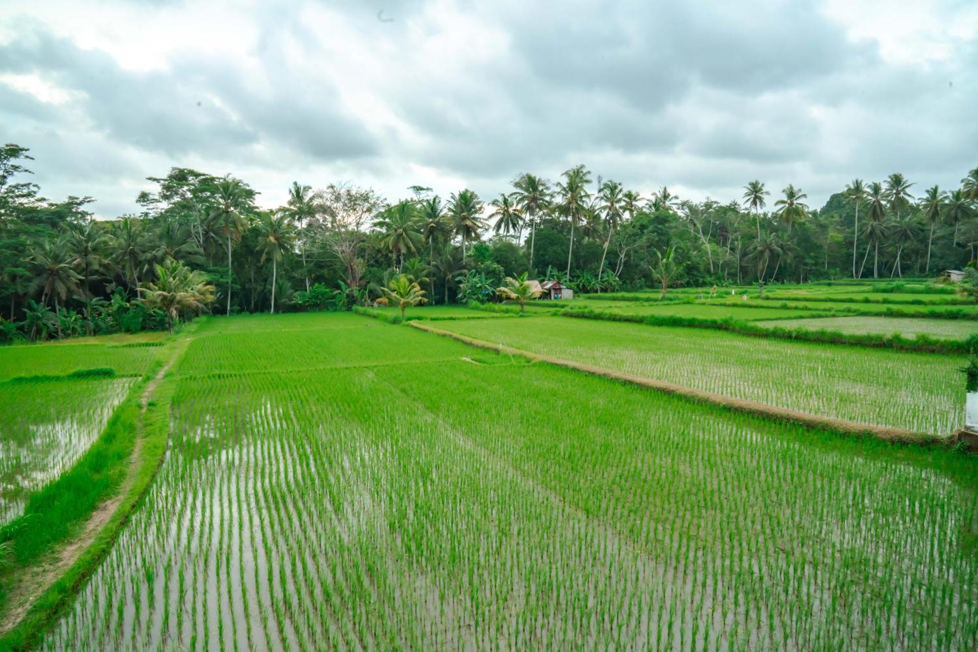 Tulus Hati Ubud Retreat Ngoại thất bức ảnh